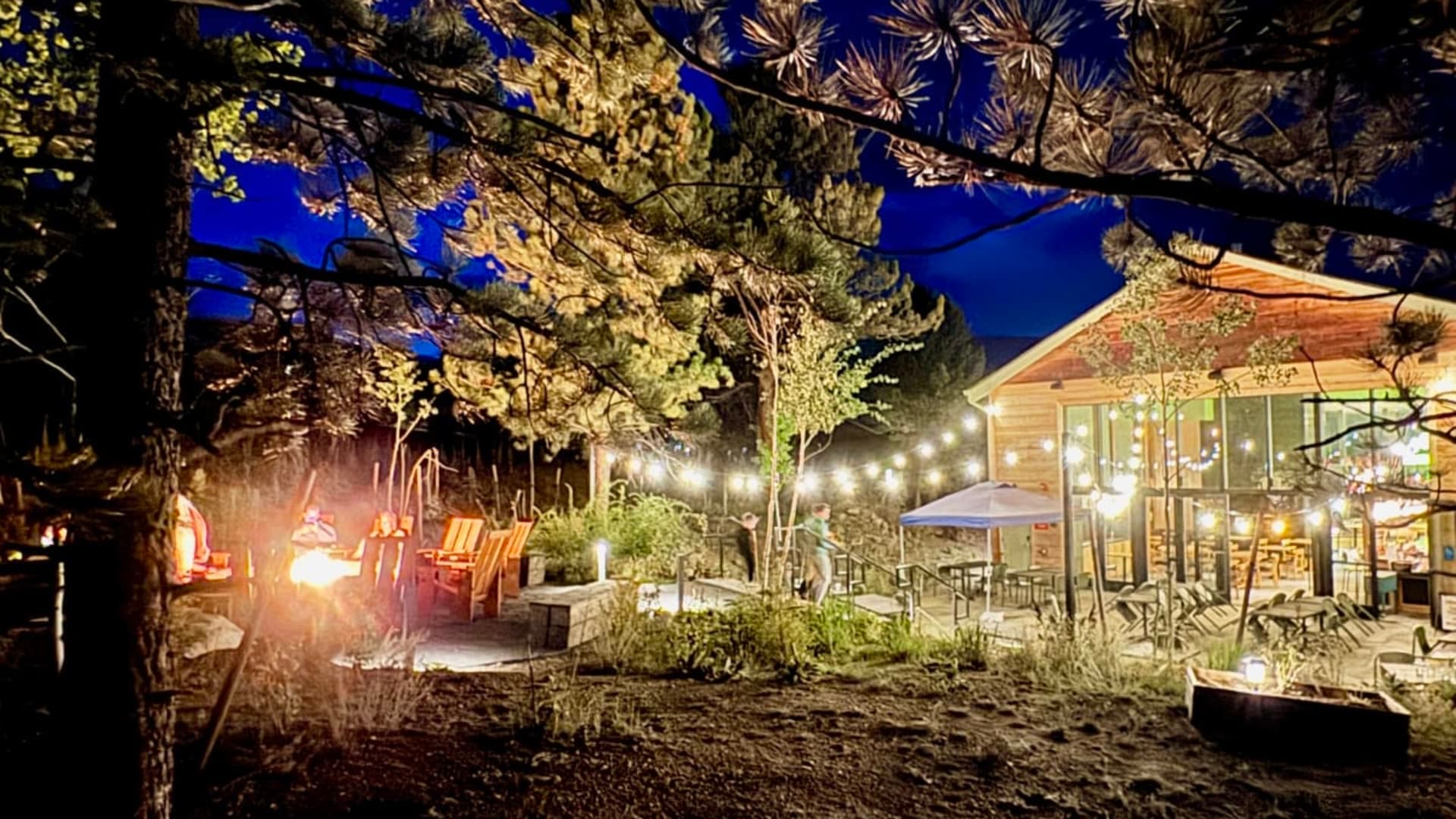 Trailborn in Jackson